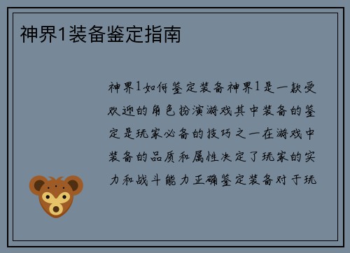 神界1装备鉴定指南